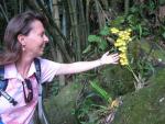 Hawaii Tropical Botanical Garden: Vivian