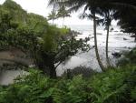 Hawaii Tropical Botanical Garden: Alakahi Stream