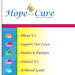 Blacks Design web site design:  Hope For A Cure Foundation, HopeForACureFoundation.org
