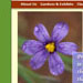 Blacks Design web site design:  The Water Conservation Garden, TheGarden.org