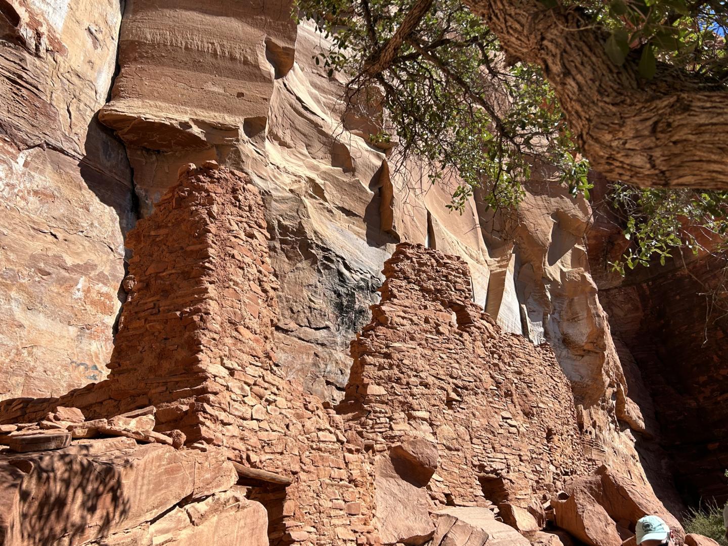 IMG_3292 Palatki Heritage Site Cliff Dwellings