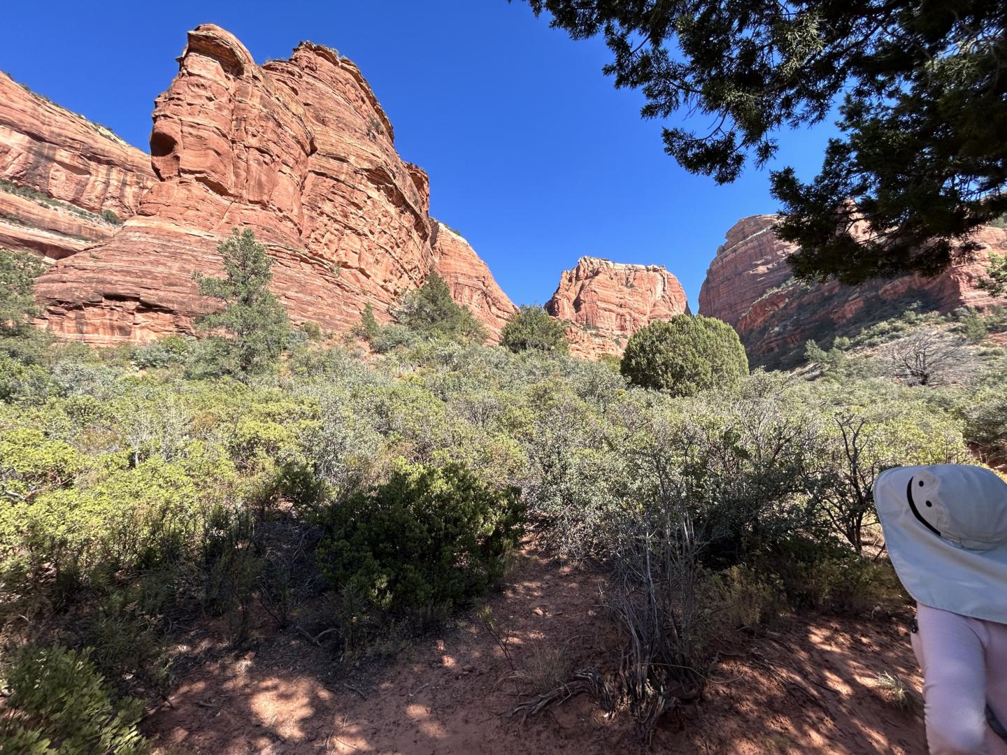 IMG_3427 Boynton Canyon Trail