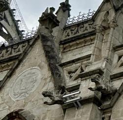 2024_02_23_10_Ecuador_Quito_Basilica_del_Voto_Nacional_iguana_gargoyles