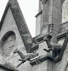 2024_02_23_11_Ecuador_Quito_Basilica_del_Voto_Nacional_llama_gargoyles