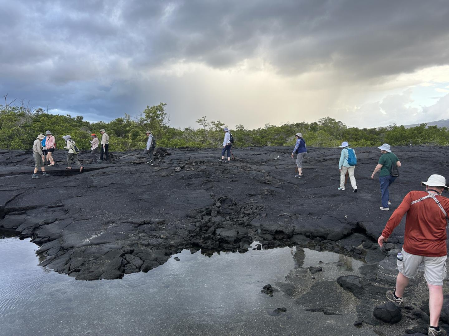 2024_02_25_29_Galapagos_Fernandina_group_crossing_lava_flow