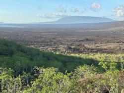 2024_02_26_32_Galapagos_Isabela_Darwin_lagoon_hike_Wolf_Volcano_in_distance