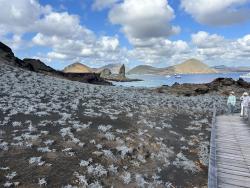 2024_02_27_07_Galapagos_Bartolome_tiquilia_plants_and_bay