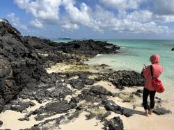 2024_02_28_05b_Galapagos_Santa_Cruz_Sally_Lightfoot_crabs