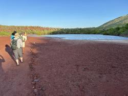 2024_02_28_15_Galapagos_Rabida_flamingo_lagoon