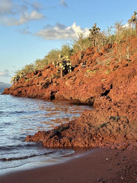 2024_02_28_18_Galapagos_Rabida_red_cliffs_at_sunset