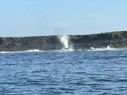 2024_03_01_02_Galapagos_Espanola_blow_hole