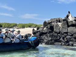 2024_03_01_07_Galapagos_Espanola_closed_to_humans_due_to_bird_flu