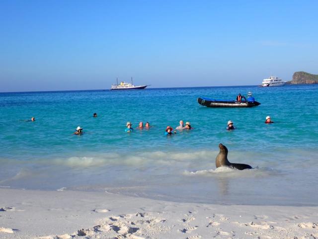 2024_03_01_14_Galapagos_Espanola_sea_lion_and_shipmates