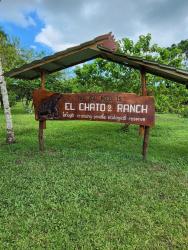 2024_03_02_08_Galapagos_Santa_Cruz_ranch_with_wild_tortoise_population.jpg