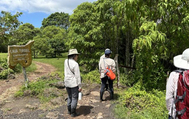 2024_03_02_12_Galapagos_Santa_Cruz_ranch_lava_tube