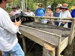 2024_03_02_22_Galapagos_Santa_Cruz_coffee_plantation_tour