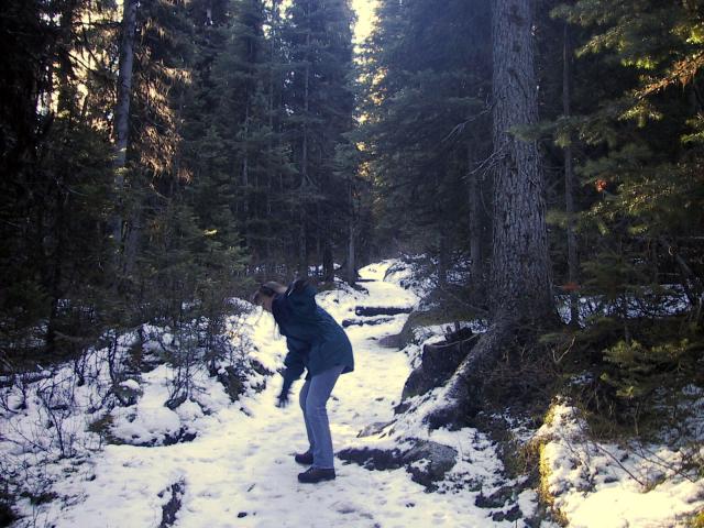 Slipping on the Saddleback Trail, near Lake Louise.