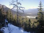Chateau Lake Louise from Saddleback Trail