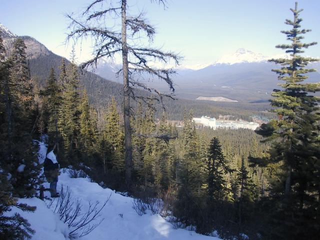 Chateau Lake Louise from Saddleback Trail