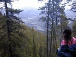 Half way up the Sulphur Mountain Trail.