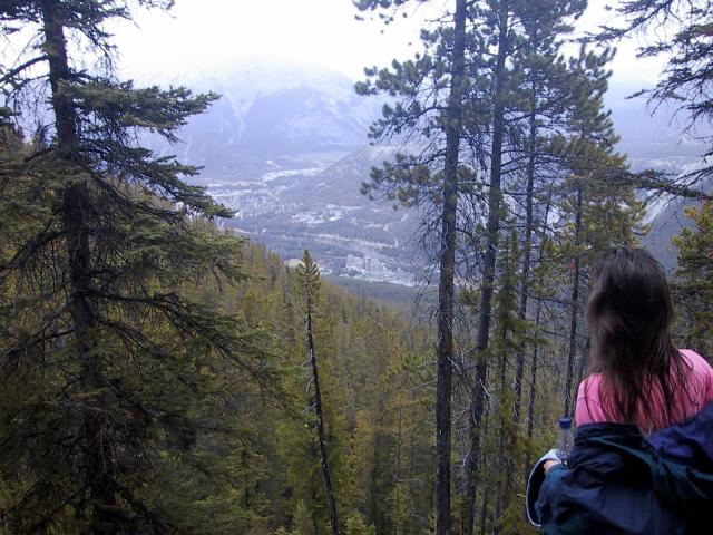 Half way up the Sulphur Mountain Trail.