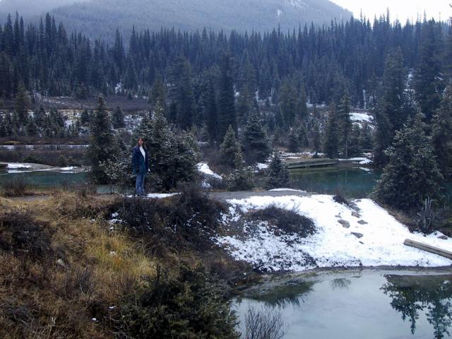 Walking around The Inkpots, behind Johnston Canyon.