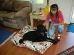 Madie looking regal on her new doggy bed, courtesy of Yaeko!