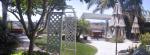 Panorama view of backyard.