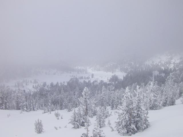 View of back side of mountain from Upper Road Runner, trying to get down out of the clouds.