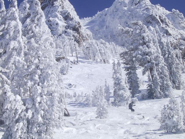 Vivian coming into the trees below Chair 14.