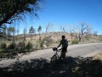 Martin.  Burned trees are remnants of San Diego's 2003 Cedar fire.
