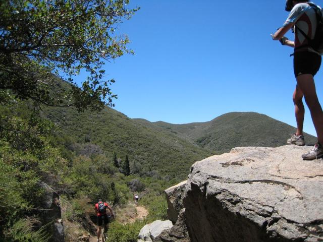 Taking in the view (2).