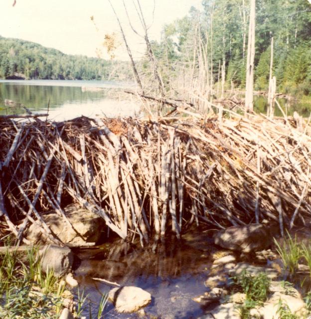 1977_BeaverDam_08.jpg
