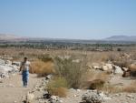 Palm Canyon Trail