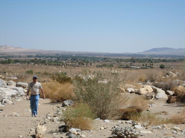 Palm Canyon Trail