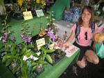 Hilo Farmer's Market