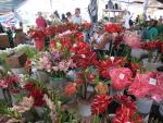 Hilo Farmer's Market