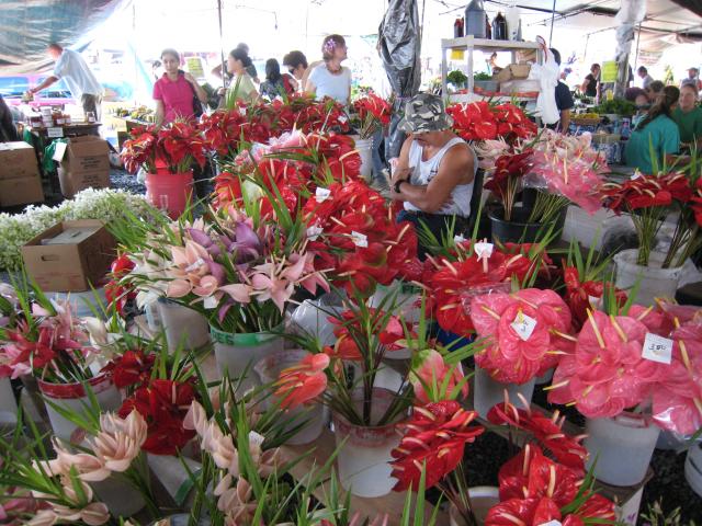 Hilo Farmer's Market