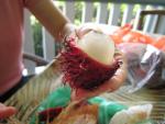 Rambutan