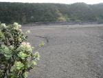 Kilauea Iki Trail