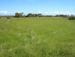 South Point: Windswept plain