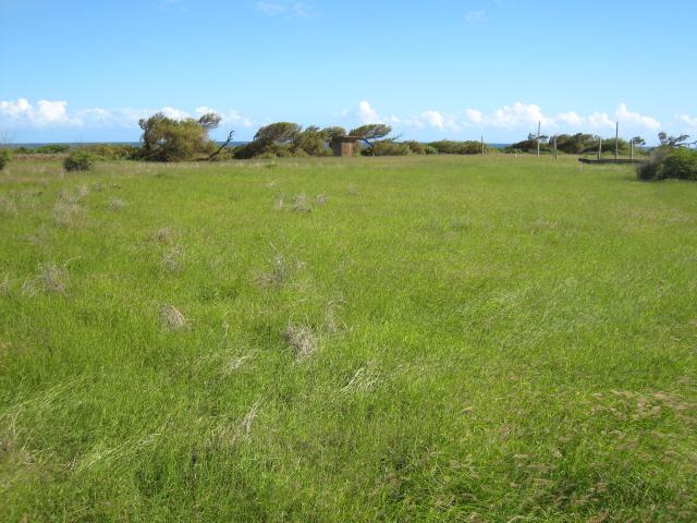 South Point: Windswept plain