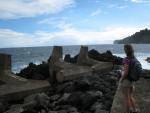 Laupahoehoe Point Park