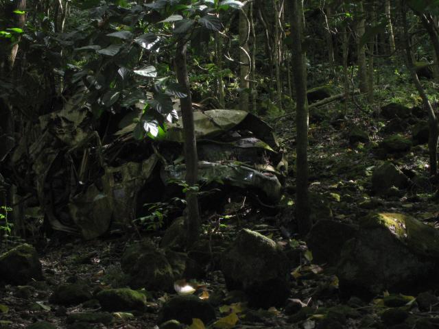 Waipi'o Valley