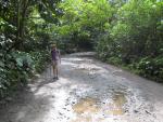 Waipi'o Valley -- Mosquito Hell I