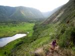 Waipi'o Valley