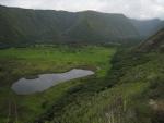 Waipi'o Valley: coming back down