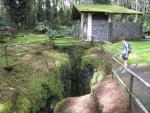 Lava Tree State Monument: Cracks in the ground.