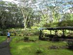 Lava Tree State Monument: Picnic area