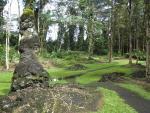 Lava Tree State Monument: "Lava Tree"